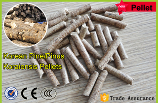 Pellets de Pinus Koraiensis